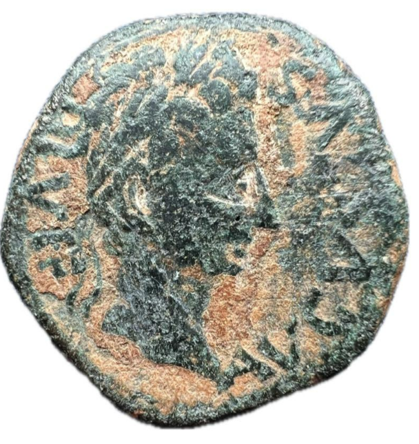 CARTAGONOVA. Época de Augusto(27 a.C.-14 d.C.). Semis. Cartagena (Murcia). MBC+