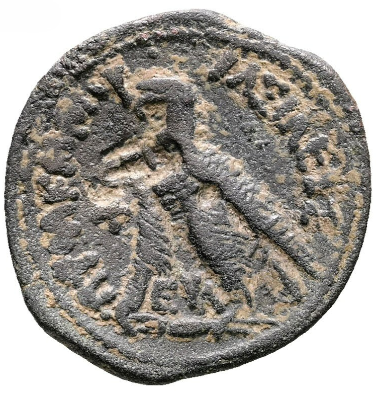 REINO PTOLEMAICO DE EGIPTO. Chipre. Ptolomeo VI Filométor (180-145 a.C.). Bronce.