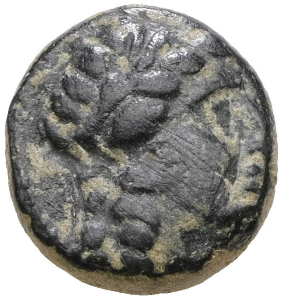 ANTIOCO II THEOS  (261‑246 a. C.). Cobre