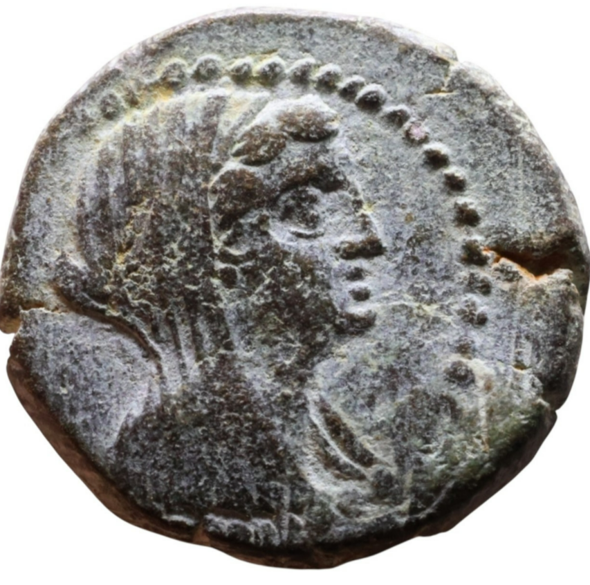 PHOENICIA (2nd century BC). City of Marathos. Bronze coin. Bust of Berenice II.