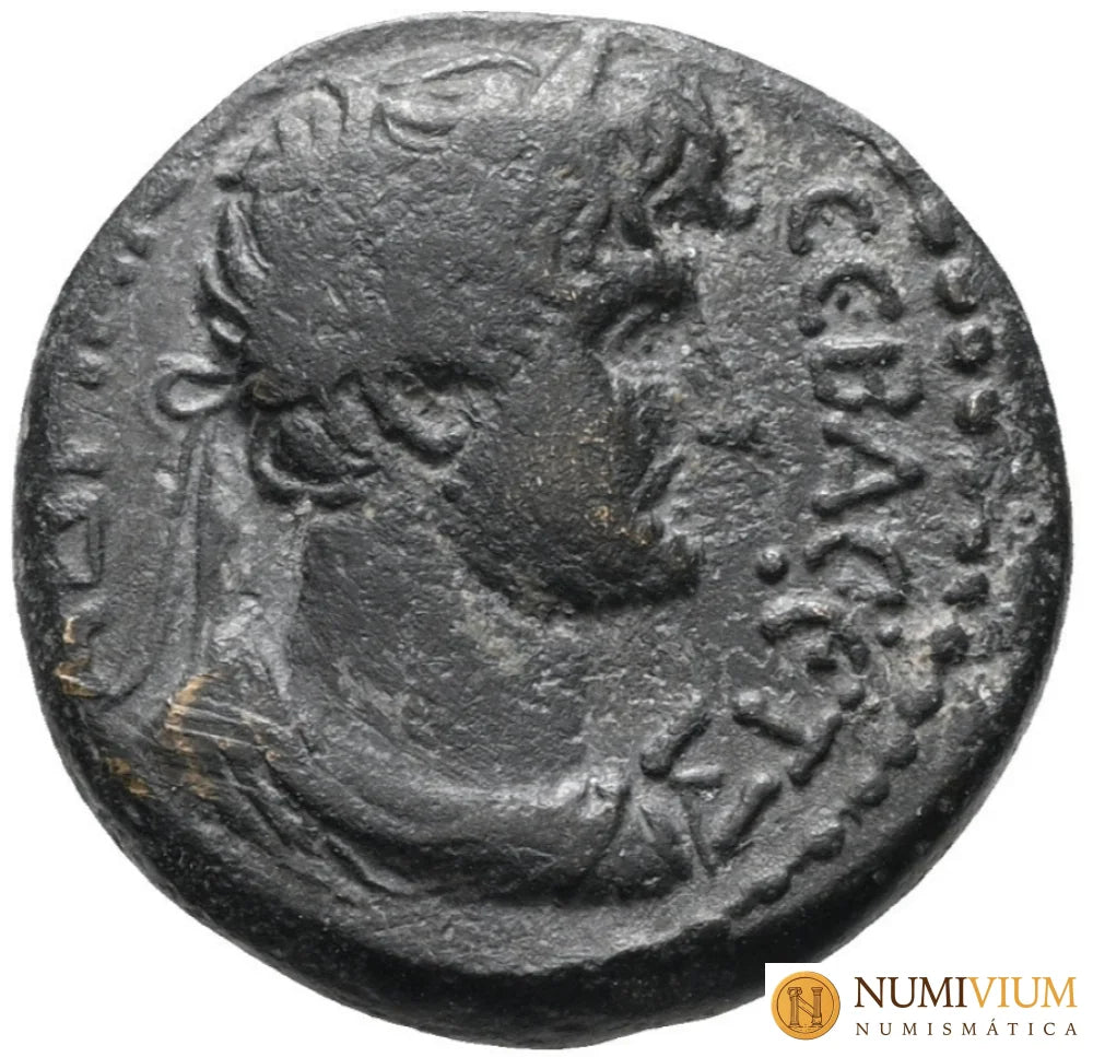 ADRIANO (117-138 d.C.). COMAGENE. Samosata.