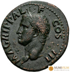 AGRIPPA. As. 37-41 d.C. Roma. (Ric-I 58). MBC+/MBC As