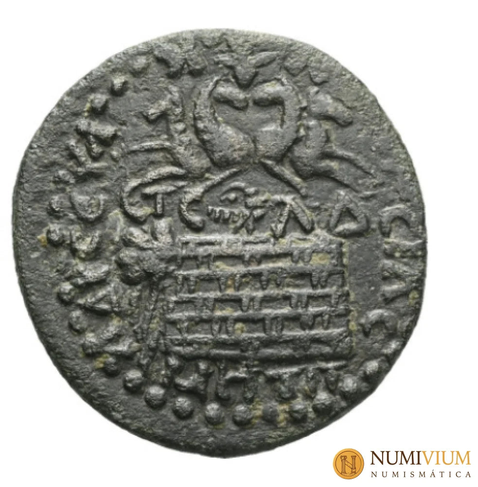 Alejandro Severo · 225–226 d.C. Provincial Romana · Galacia Amasea · Bronce. Gran tamaño