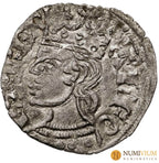 ALFONSO XI (1312-1350). Burgos. Cornado. Vellón rico. EBC