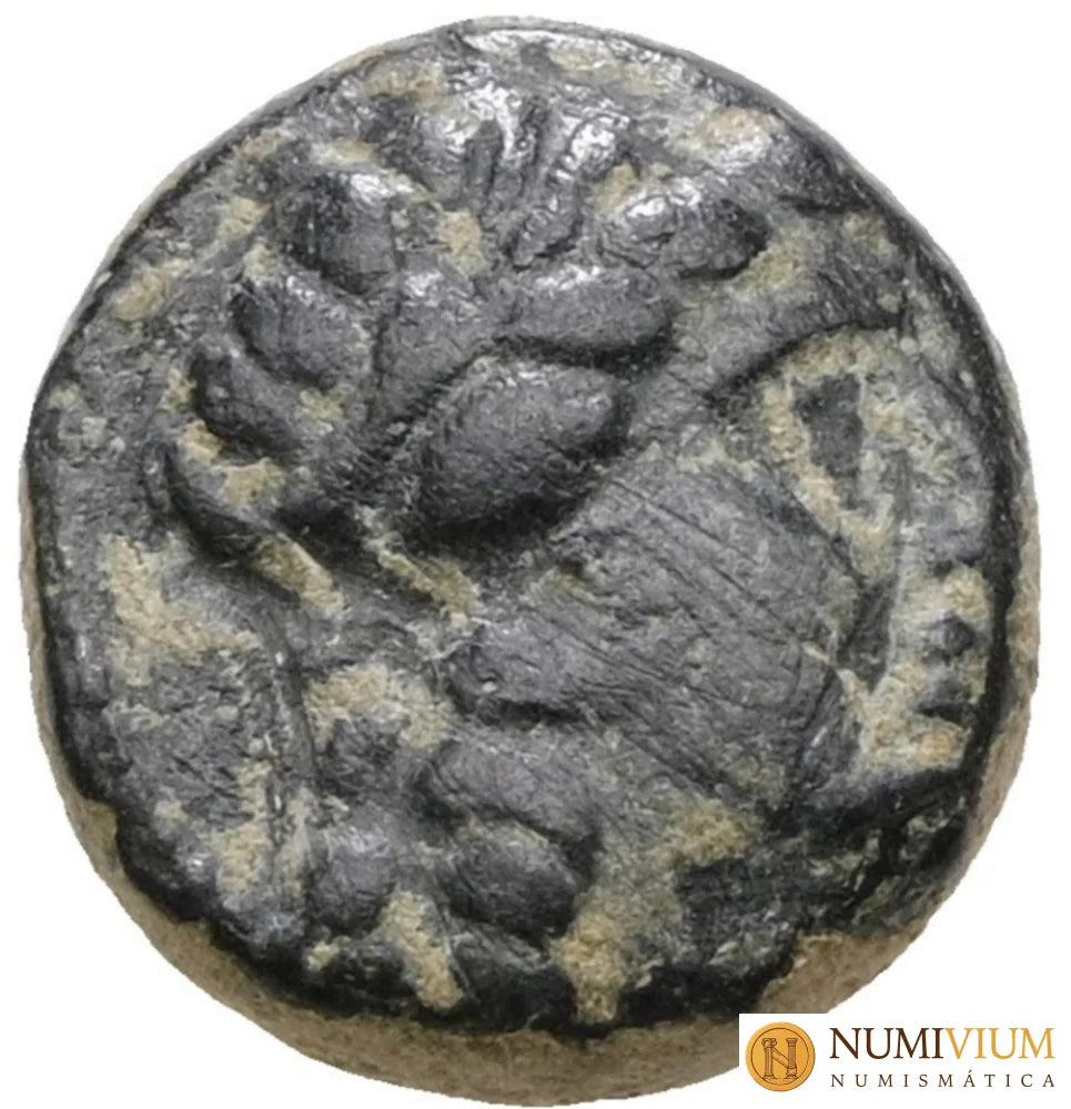 ANTIOCO II THEOS (261‑246 a. C.). Cobre