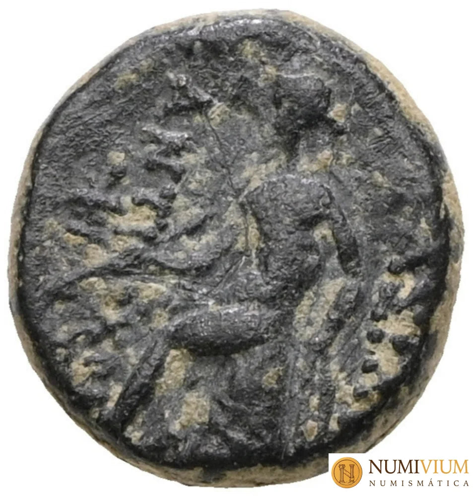 ANTIOCO II THEOS (261‑246 a. C.). Cobre