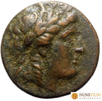 ANTIOCO II THEOS (261-246 a.C.). Sardes (Sardeis). REY 3