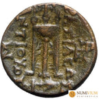 ANTIOCO II THEOS (261-246 a.C.). Sardes (Sardeis). REY 3