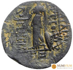 ANTIOCO IX CICICENO (114/3-95 a.C.). Antioquía sobre el Orontes año 203 (110/9 a.C.). REY 20