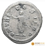 Balbino (238 dC). Denario. Emperador escaso