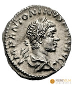 Eliogábalo. Denario. 220-222 d.C. Roma. (Ric-IV 161). EBC+