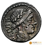 GENS ACILIA Man. Acilius Glabrio. Denario. 55 a.C. Roma.