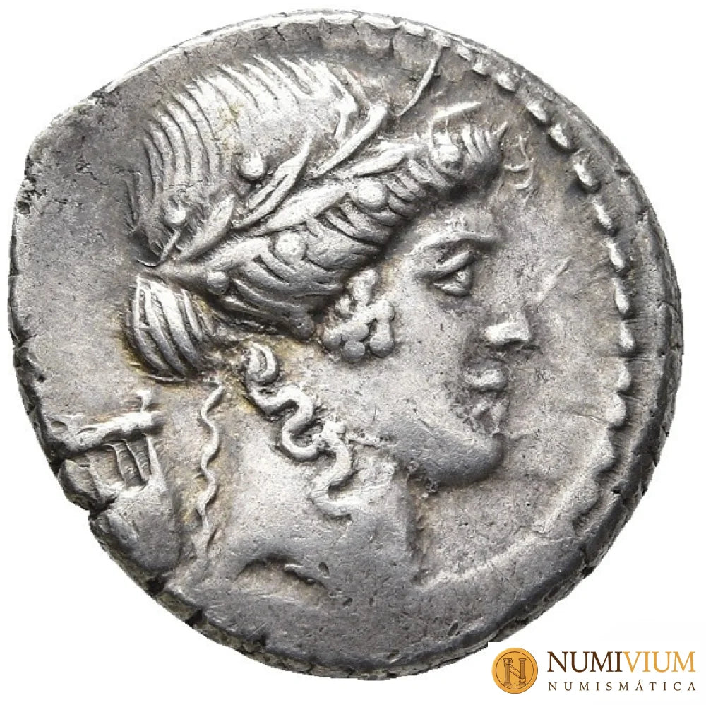 GENS CLAUDIA P. CLODIUS M.F. TURRINUS. Denario (42 a.C.). Roma.