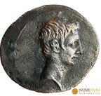 Imperio Romano · Octavio (Augusto) · Denario · RIC-267-(30–29 a.C.)