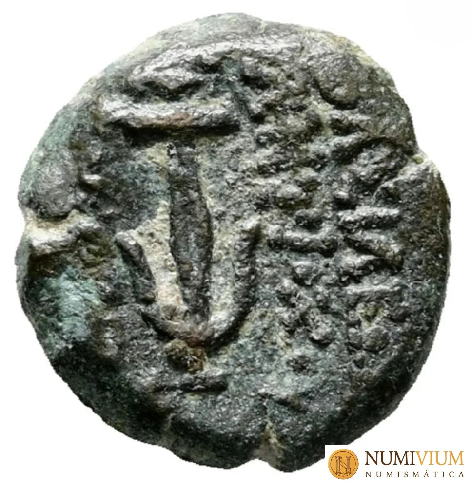 Judea. Prutah. Antíoco VII Sidetes y Juan Hircano I 132-130 a.C. BC+ Prutah