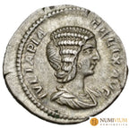 Julia Domna Roma Denario 211-215. RIC. 382