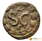 Macrino · Bronce Provincial · 217–218 d.C. Antioquía (Seleucis y Pieria)