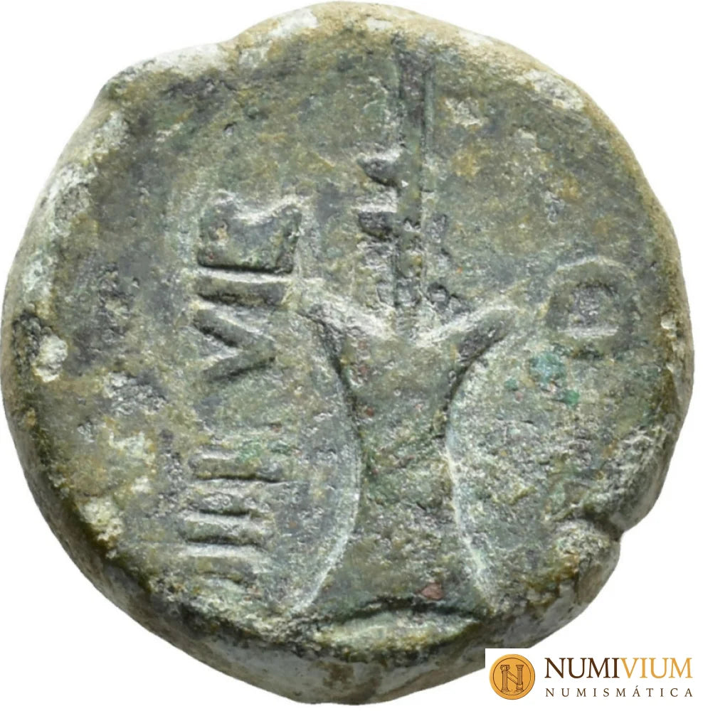Moneda de Carteia (provincia Baetica). Época de Augusto (27 a.C.–14 d.C.). aprox. 20 a.C. Cobre