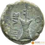 Moneda de Carteia (provincia Baetica). Época de Augusto (27 a.C.–14 d.C.). aprox. 20 a.C. Cobre