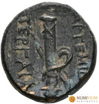 PAMPILIA. Perge. Bronce (circa 50-30 a.C.).