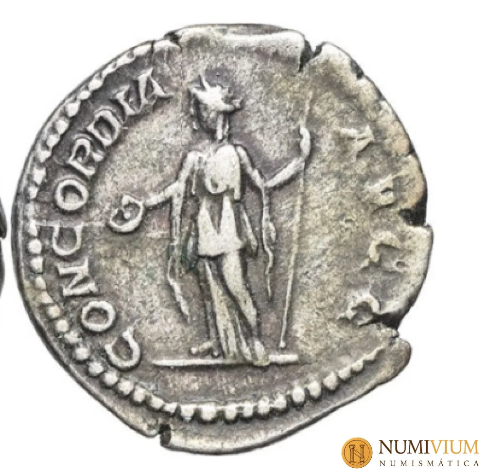 Plautila (Augusta 202-205). Denario. Roma 202-205 d.C.