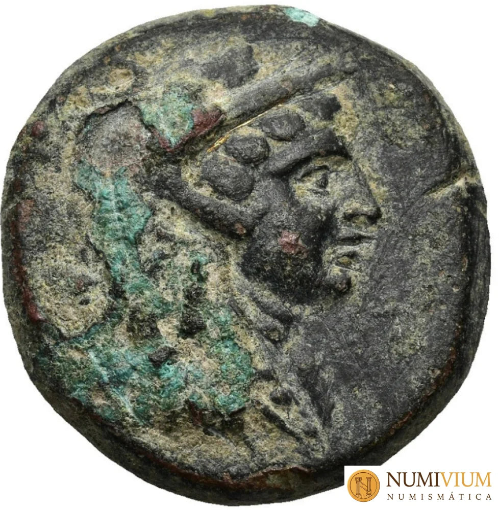 Ponto. Amisos. Bronce (85–65 a.C.). Emisión de la Guerra Mitridática. MBC