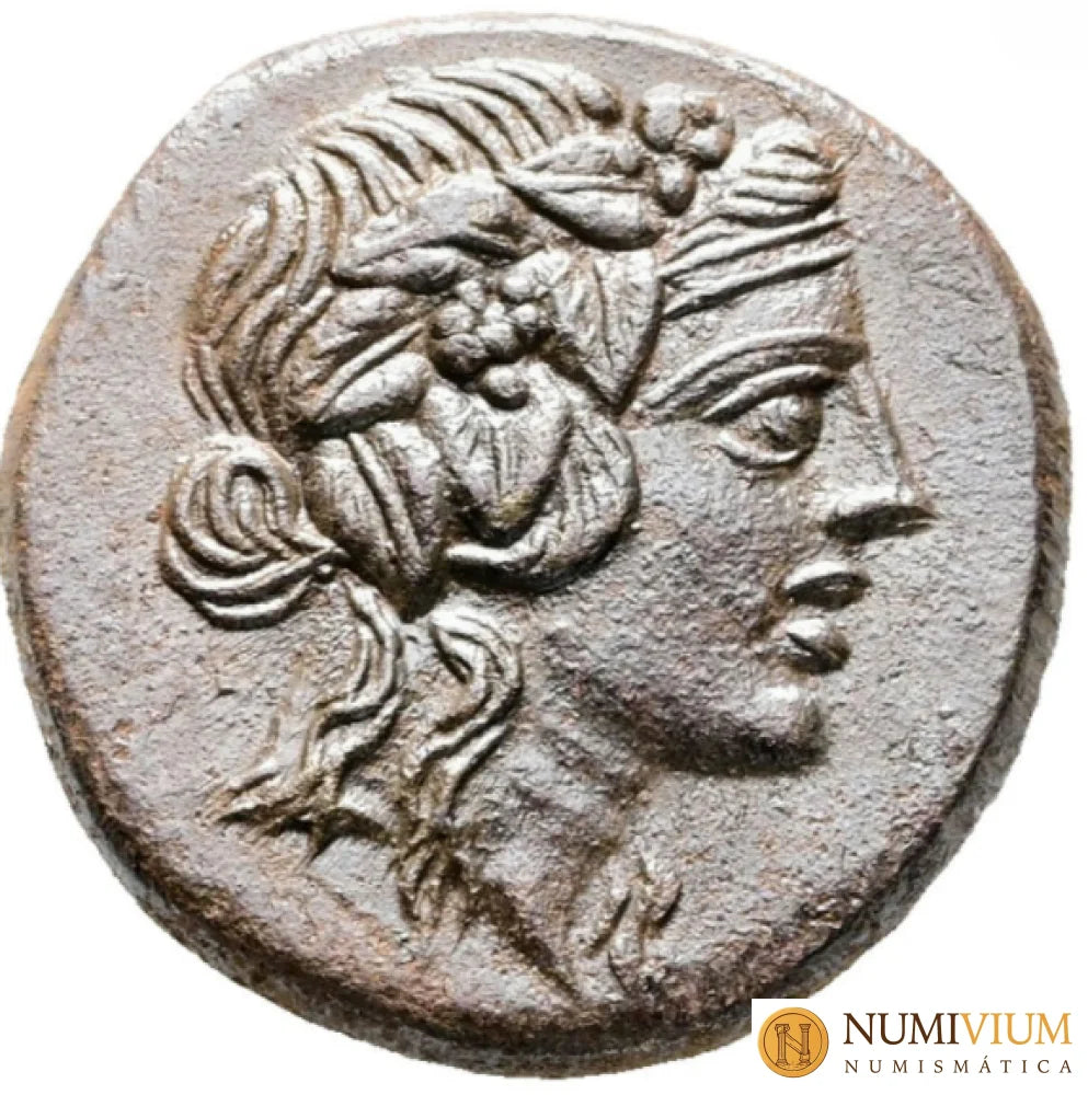 Ponto. Amisos. Época de Mitrídates VI Eupátor 120-63 a.C. MBC+. Retrato de Perseo. Buen ejemplar.