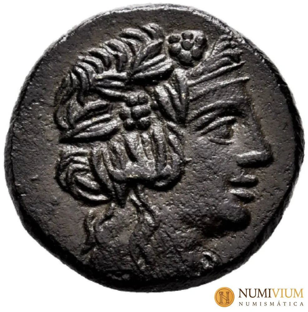 Pontos. Amisos. AE 22. 85-65 a.C. Tiempos de Mitradates VI.