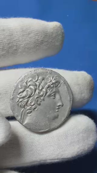 ANTÍOCO VIII EPÍFANES. (121-96 a.C.). Tetradracma. EBC. Bello