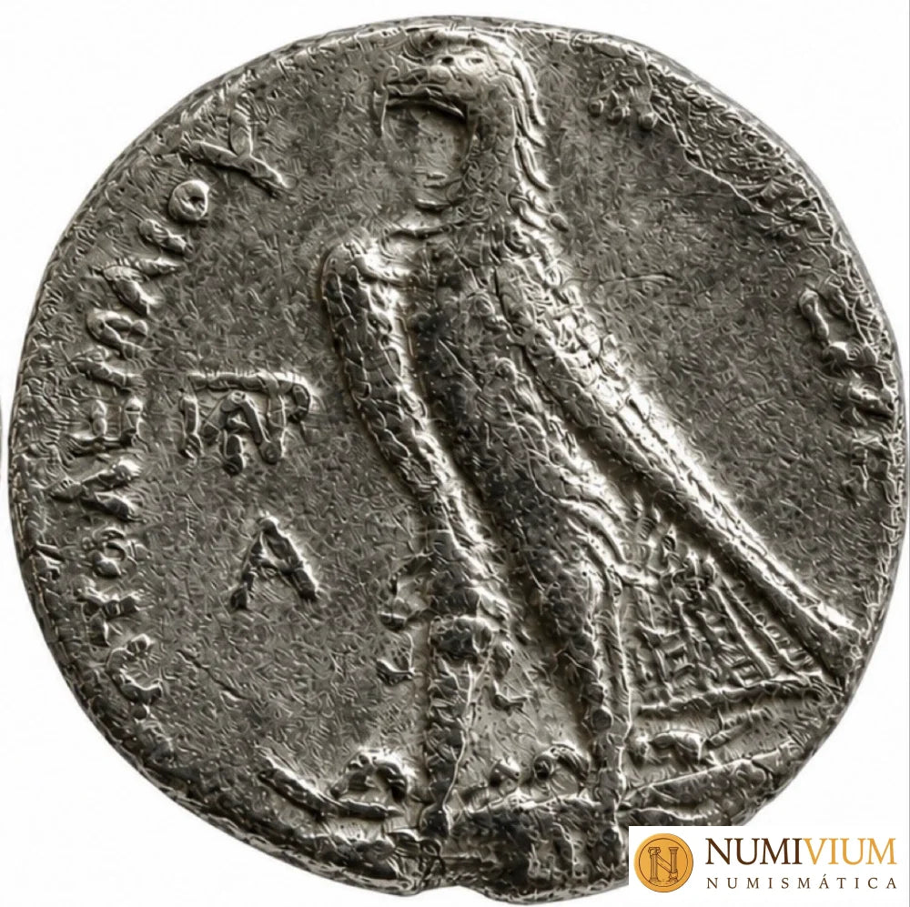 Reino Ptolemaico · Ptolomeo II Filadelfo · Tetradracma · 285–246 a.C.