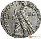 Reino Ptolemaico · Ptolomeo VI Filométor · Tetradracma · 163–145 a.C.