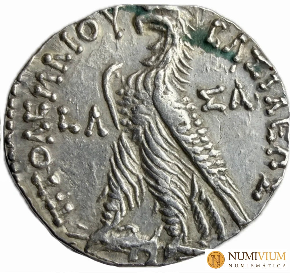 Reino Ptolemaico · Ptolomeo VI Filométor · Tetradracma · 163–145 a.C.