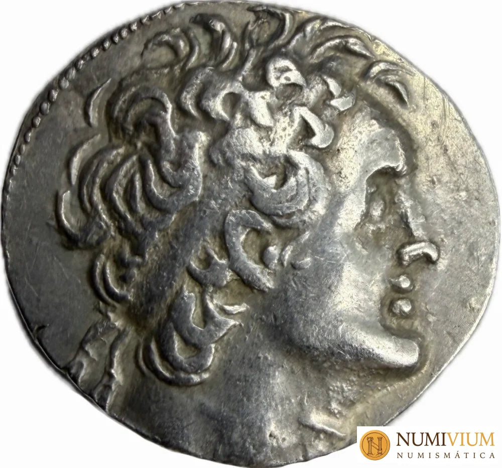Reino Ptolemaico · Ptolomeo VI Filométor · Tetradracma · 163–145 a.C.