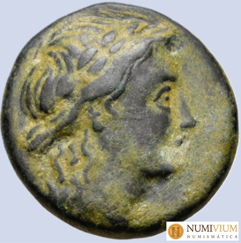 REYES DE BITINIA. Prusias I Cholos (aprox. 230–182 a. C.). Nicomedia.