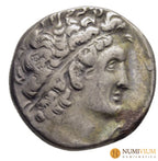 REYES PTOLEMAICOS DE EGIPTO. Cleopatra III y Ptolomeo IX Soter II (116-107 a.C.). Tetradracma. Alejandría. Año de