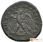 Siria. Seleucia y Pieria (Antioquía). Heliogábalo 218-222 d.C. Tetradracma de plata (AR). Año 2 (219/220 d.C.).